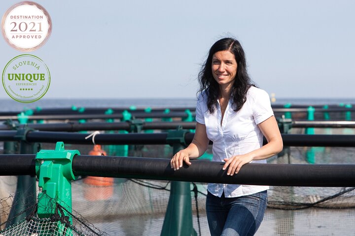 An Unforgettable Day With Fish, Wine and Olive Oil Tasting