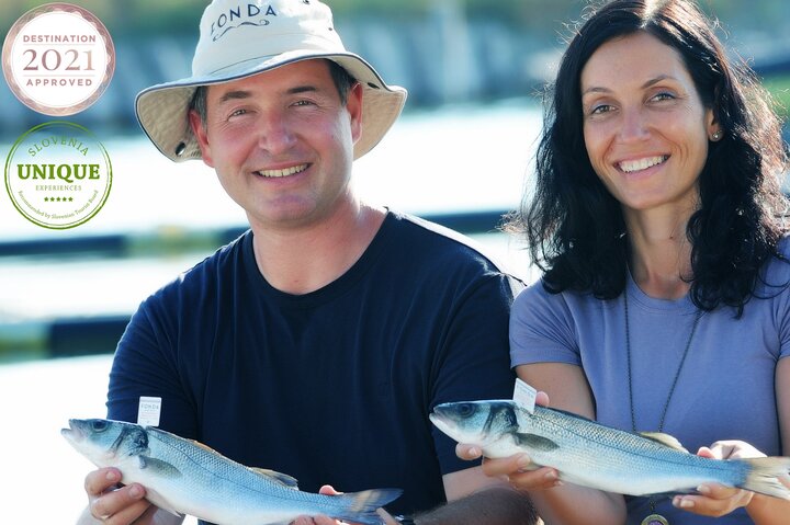 An Unforgettable Day With Fish, Wine and Olive Oil Tasting