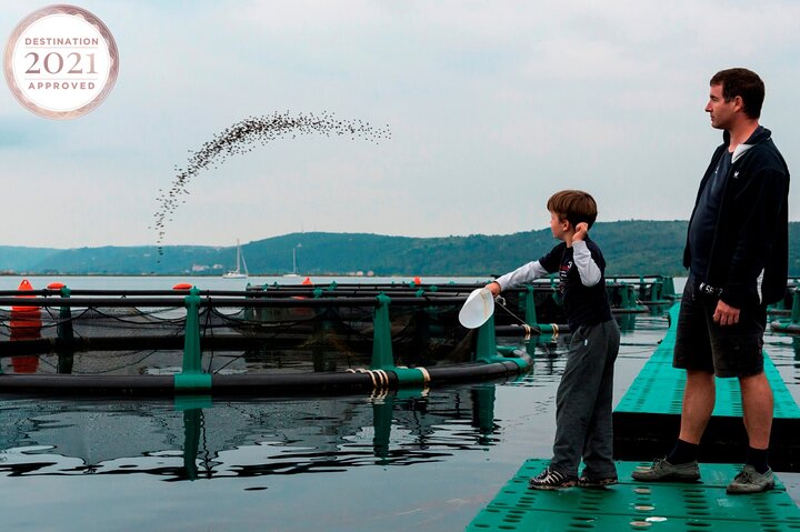 An Unforgettable Day With Fish, Wine and Olive Oil Tasting