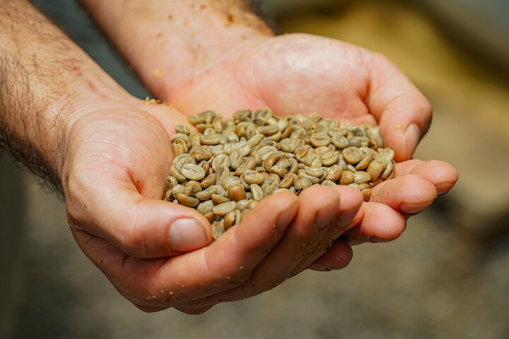 North Fields Cafe: Craft Specialty Coffee and Chocolate Tour