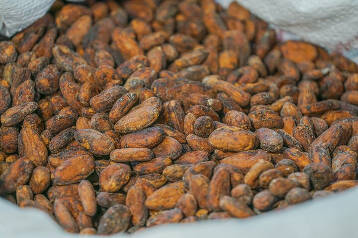 North Fields Cafe: Craft Specialty Coffee and Chocolate Tour