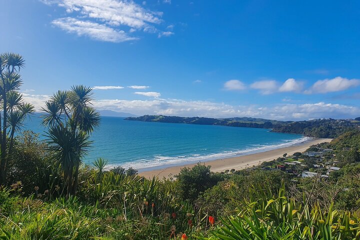 Waiheke Island Half Day Scenic Wine and Lunch