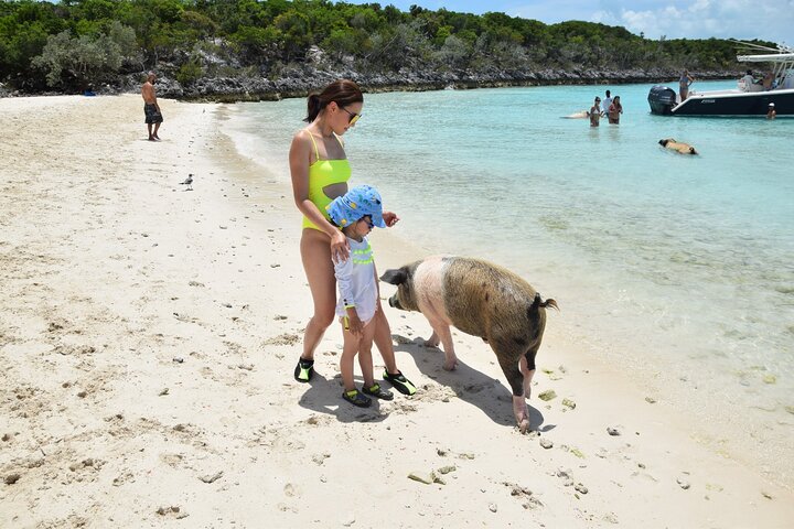Swimming with Pigs in Nassau, Transportation Included