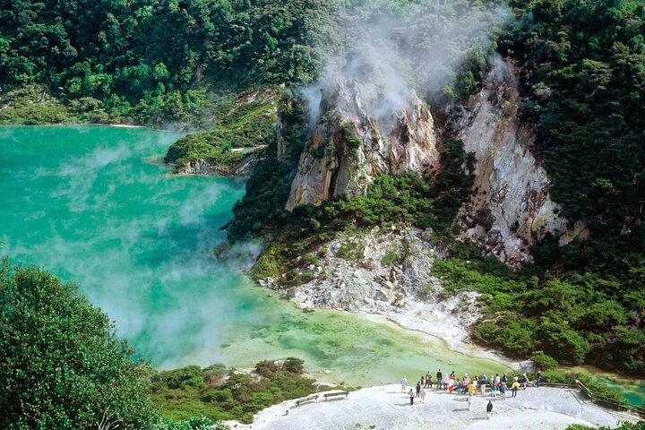 Waimangu Volcanic Valley and Lake Rotomahana Tour