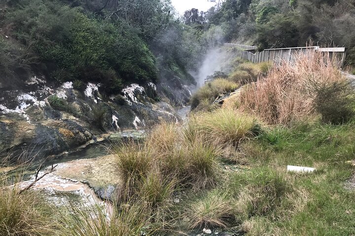 Waimangu Volcanic Valley and Lake Rotomahana Tour