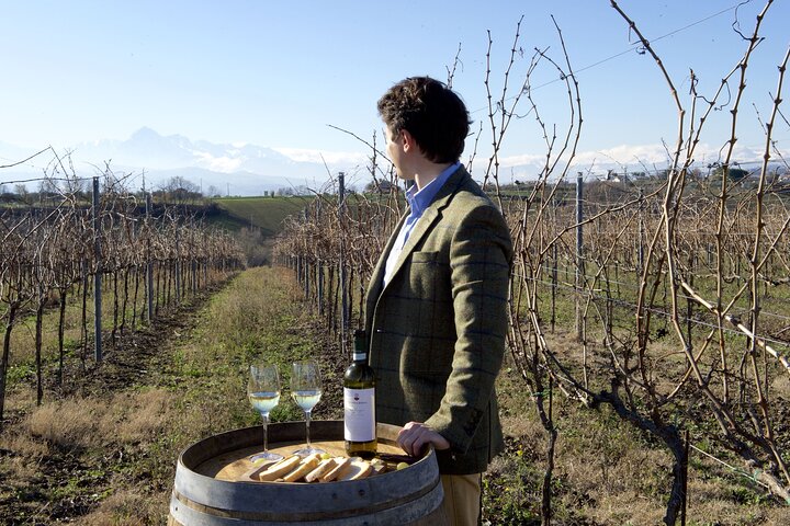 Private Food and Wine Tour in the Cellar with Tastings