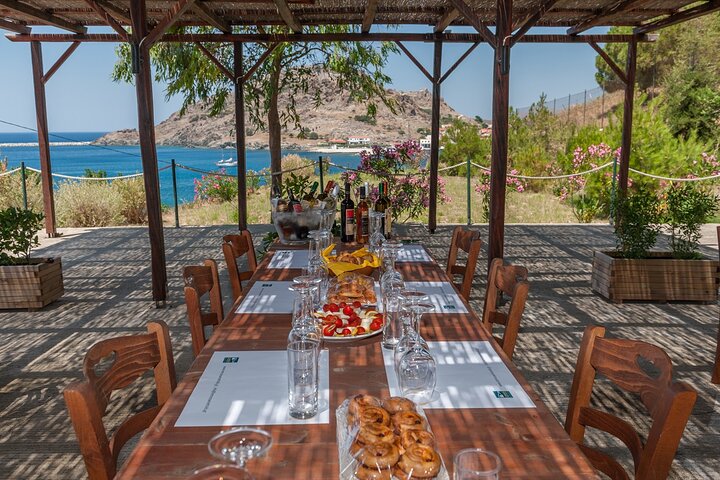 Lemnos wine tour - private tour