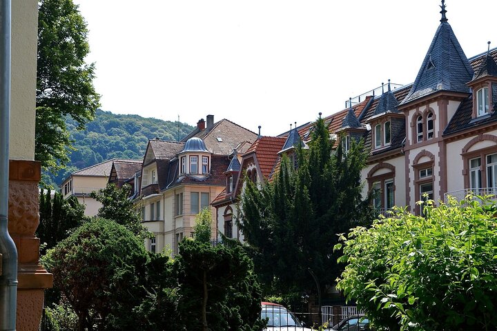 Heidelberg Old Town Private Walking Tour including Castle Visit