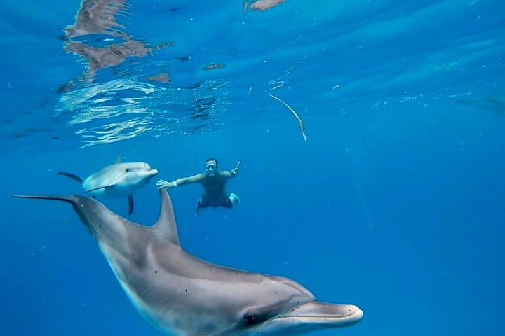 Create-Your-Own Luxury Adventure in Bimini with photographer