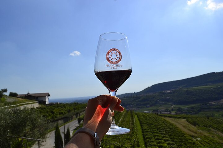 6 Wine Tasting in Valpolicella Classica: the cradle of Amarone