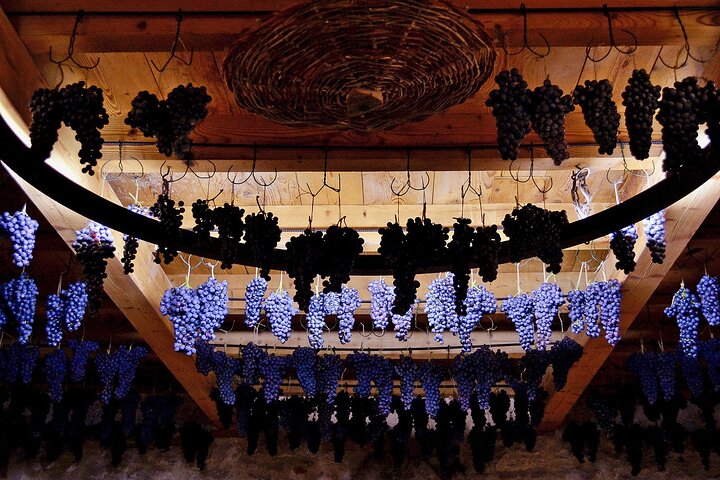 6 Wine Tasting in Valpolicella Classica: the cradle of Amarone