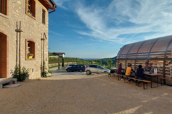 6 Wine Tasting in Valpolicella Classica: the cradle of Amarone