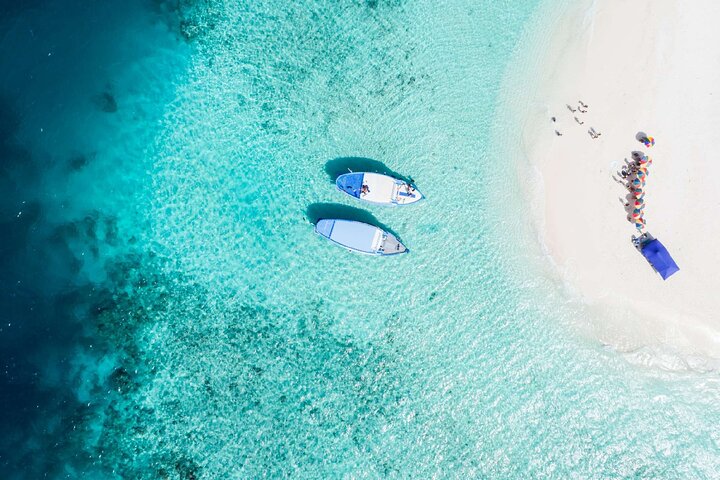 Maafushi: Ship wreck & Nurse shark snorkeling with Dolphin watching