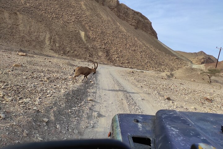 Jeep tour adventure Eilat mountains