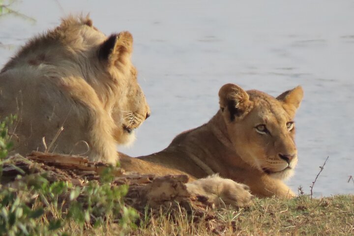 Kruger National Park - Private full day Safari trip.