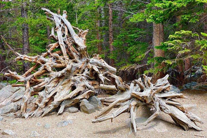 Rocky Mountain National Park Guided Tour