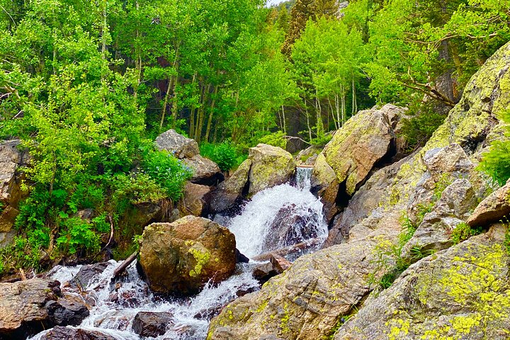 Rocky Mountain National Park Guided Tour