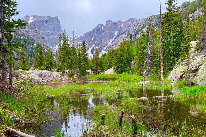 Rocky Mountain National Park Guided Tour