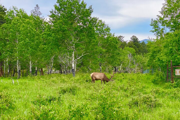 Rocky Mountain National Park Guided Tour