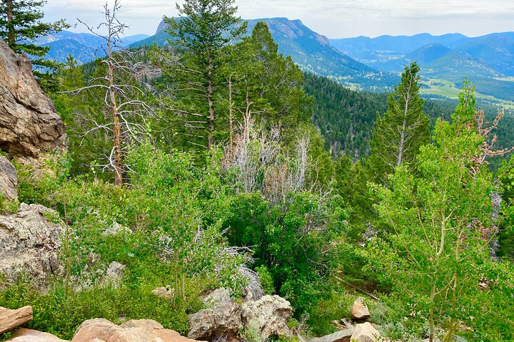Rocky Mountain National Park Guided Tour