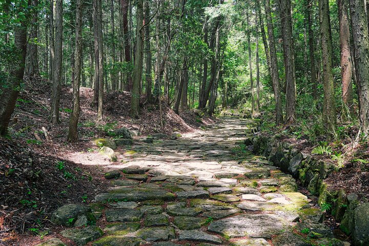 Nakasendo Magome to Tsumago Day Hike with Licensed Guide