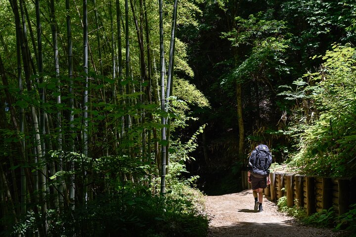 Nakasendo Magome to Tsumago Day Hike with Licensed Guide
