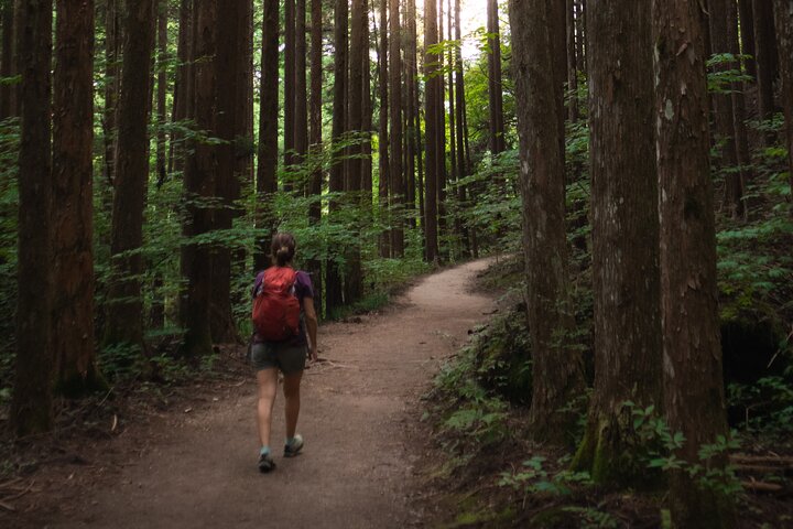 Nakasendo Magome to Tsumago Day Hike with Licensed Guide