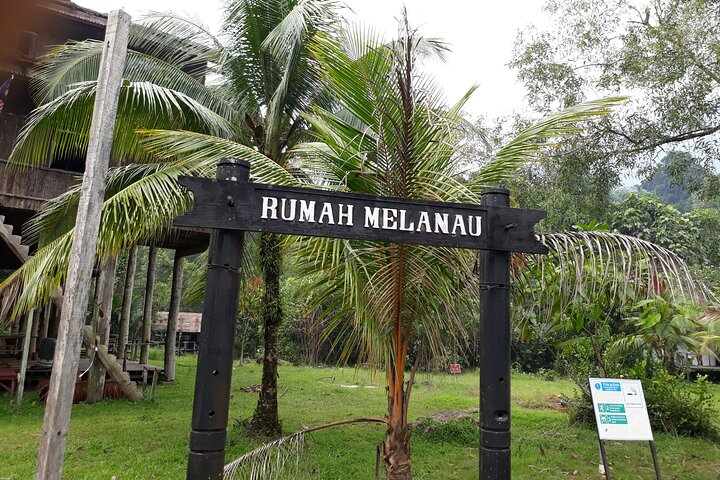 Semenggoh Orangutan Center & Sarawak Cultural Village