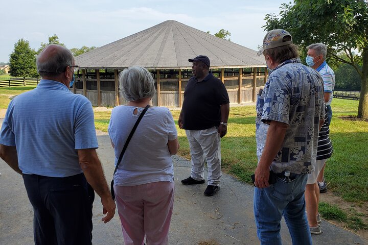Unique Horse Farm Tours with Insider Access to Private Farms