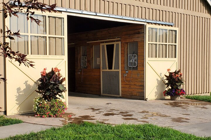 Unique Horse Farm Tours with Insider Access to Private Farms