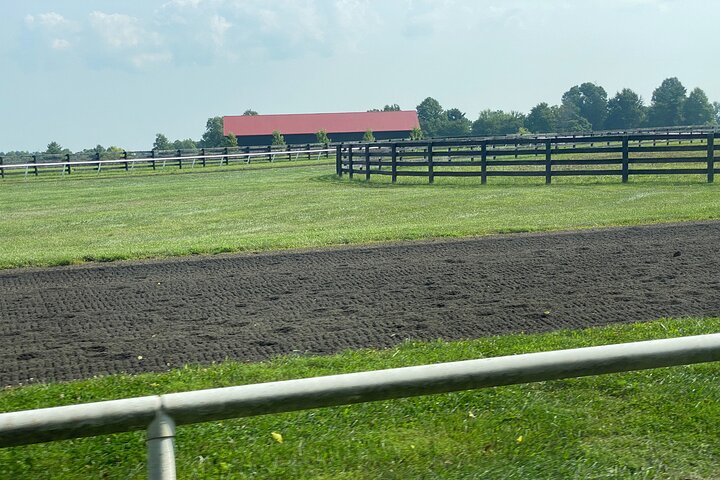 Unique Horse Farm Tours with Insider Access to Private Farms