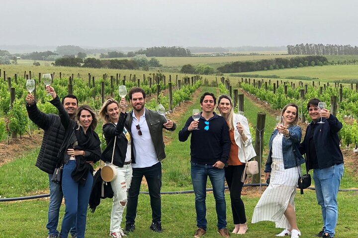 Wine Lovers - Bodega Garzon Experience