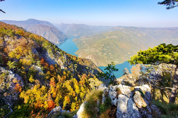 Full Day Trip from Belgrade: The Drina River House And Tara Park Tour