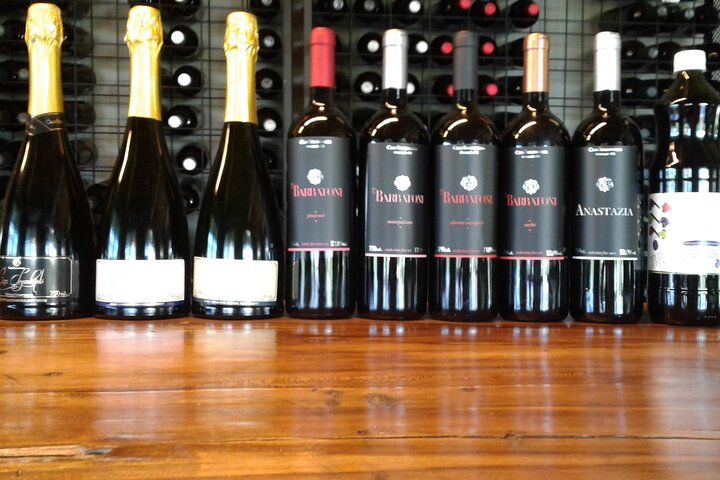 Guided Tour with Wine Tasting at Casa Seganfredo - Gramado