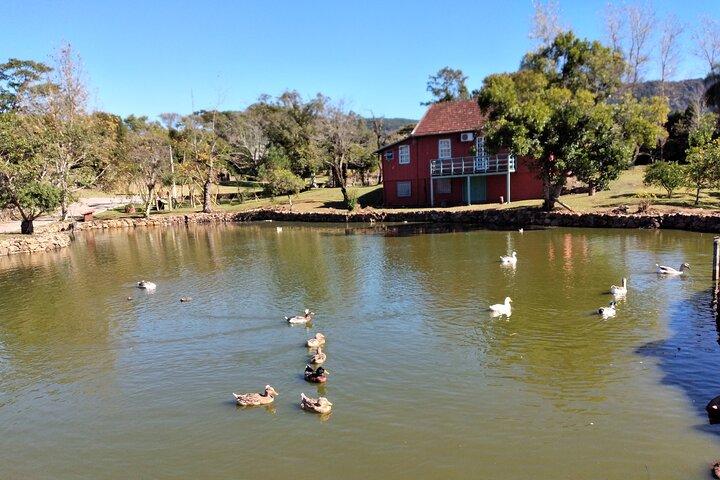Guided Tour with Wine Tasting at Casa Seganfredo - Gramado