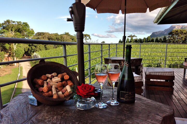 Guided Tour with Wine Tasting at Casa Seganfredo - Gramado
