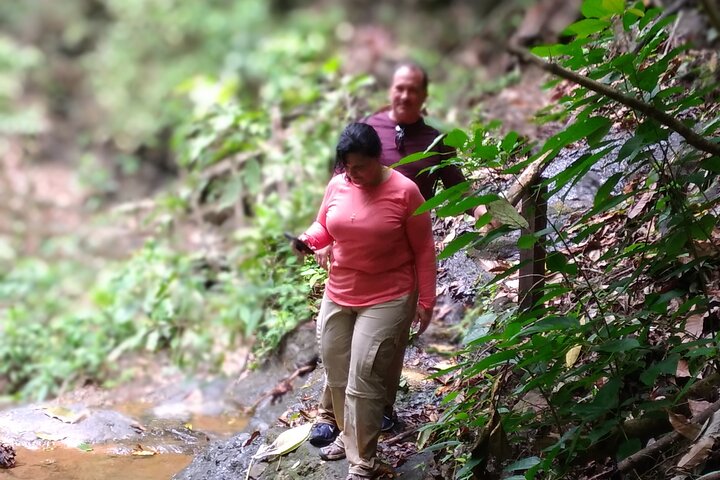 Hike 10 waterfalls in Jaco lunch included
