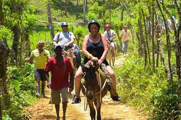 Samaná Island & Waterfall Adventure: Bacardi Beach Experience
