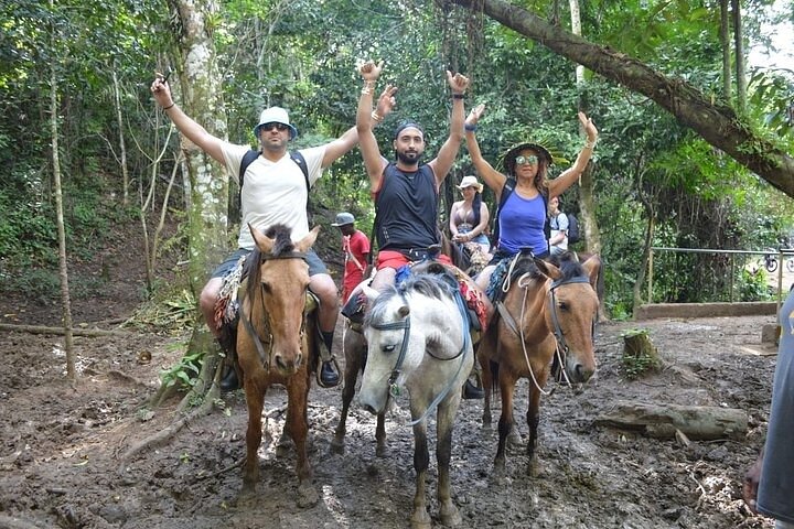 Samaná Island & Waterfall Adventure: Bacardi Beach Experience