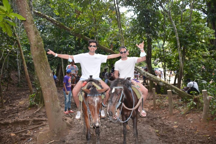 Samaná Island & Waterfall Adventure: Bacardi Beach Experience