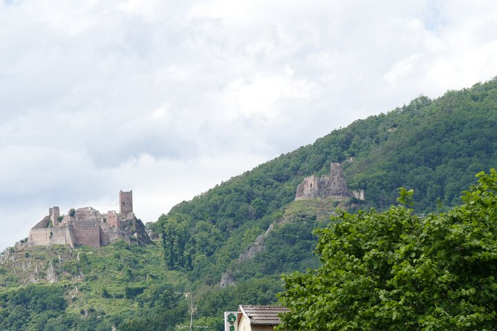 Medieval Villages and Wine Tasting from Strasbourg