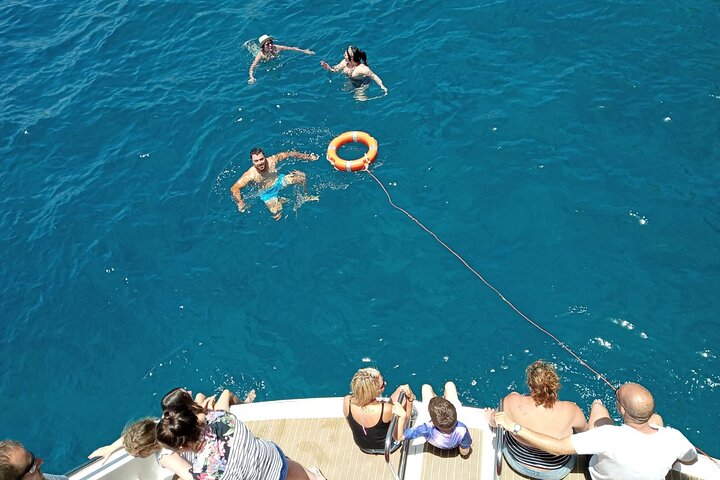 Tenerife Ecoyacht Tour for Whale Watching