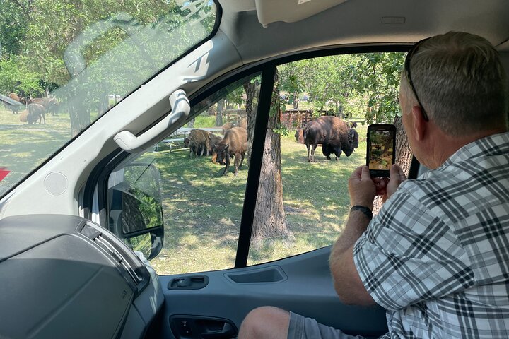 Exclusive: Rushmore, Custer State Park & Crazy Horse