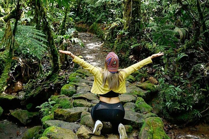 El Quetzal Birdwatching Tour from Cobán:Guatemala's National Bird