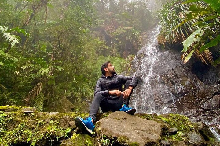 El Quetzal Birdwatching Tour from Cobán:Guatemala's National Bird