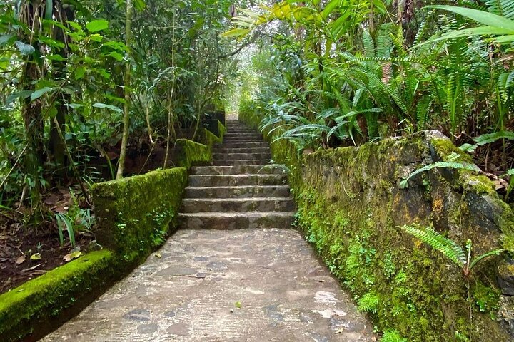 El Quetzal Birdwatching Tour from Cobán:Guatemala's National Bird