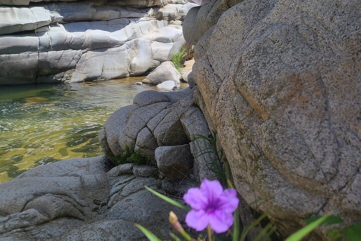 White Canyon