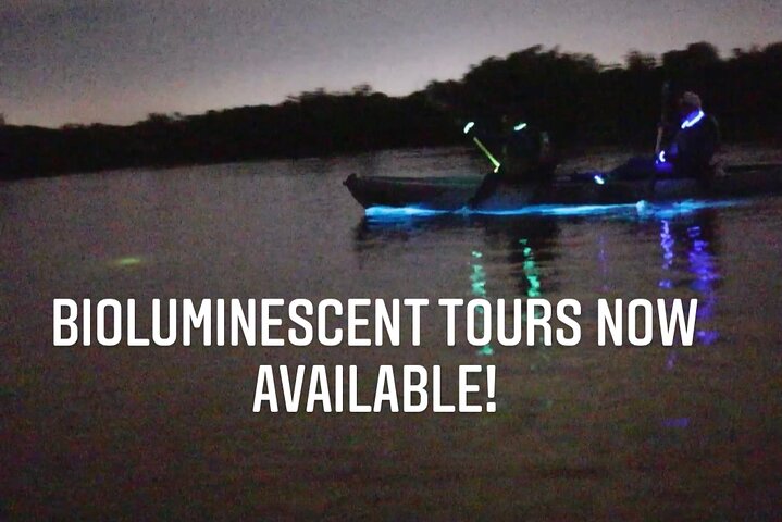 Thousand Islands Bioluminescent Kayak Tour with Cocoa Kayaking!
