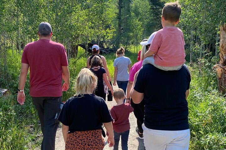 Yellowstone Full-Day Upper Loop with Wildlife Adventure w/Lunch