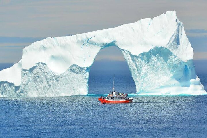 2 Hour Boat Tour in Twillingate